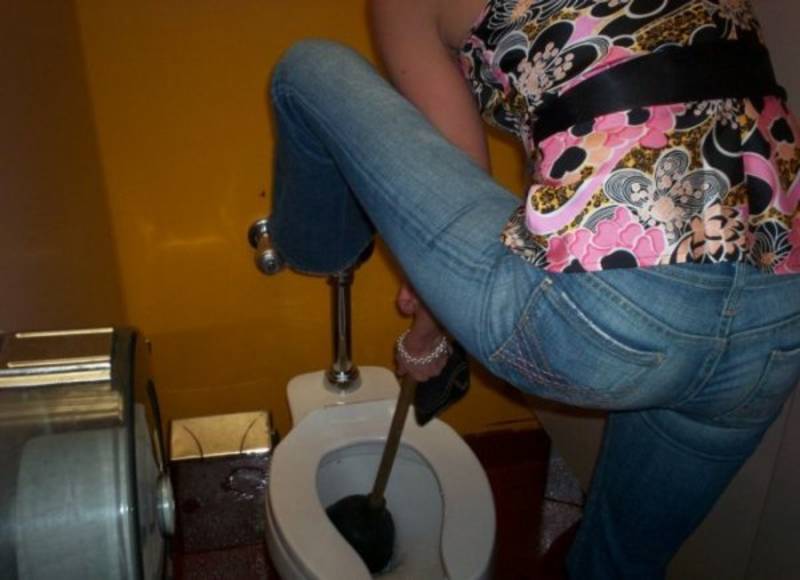 See lover toilet pictures