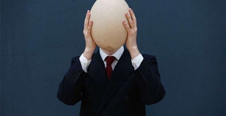 Всё популярнее: на аукционе продали самое большое яйцо в мире