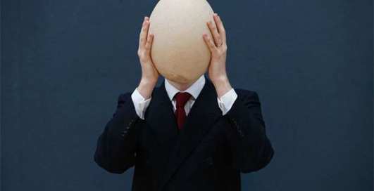 Всё популярнее: на аукционе продали самое большое яйцо в мире