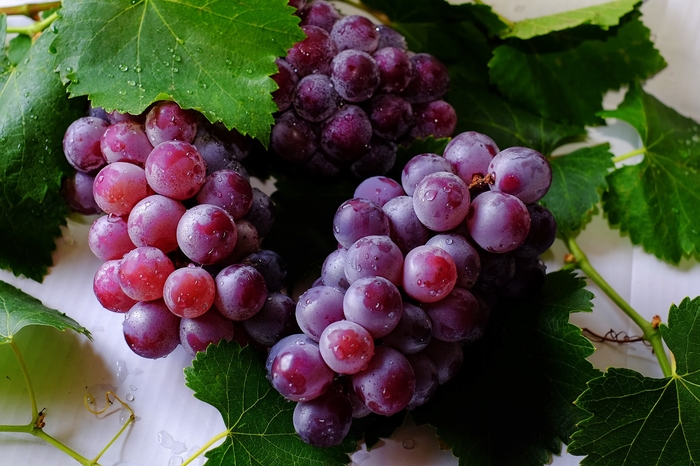 Виноград - невероятно полезный продукт в любом его виде