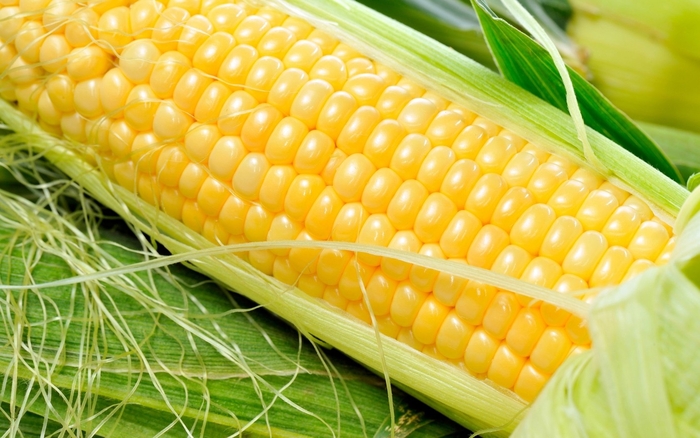 Кукуруза - один из немногих продуктов, содержащих золото