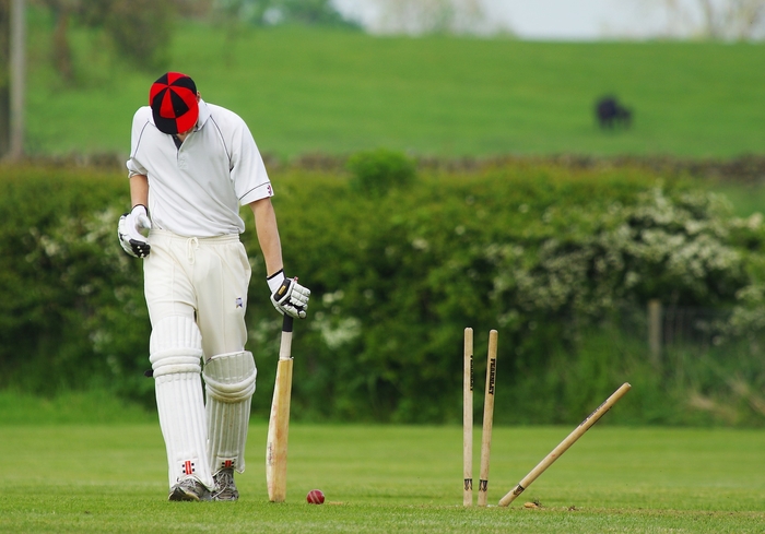 Крикет — это зарядить мячом в калитку противника
