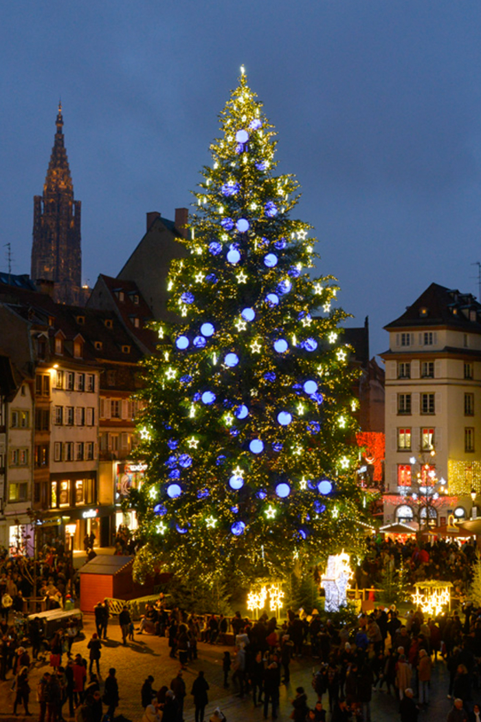 Пышная елочка в Страсбурге, Франция