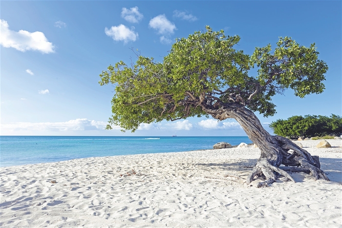 Аруба привлекает белоснежными песчаными пляжами и экологичностью