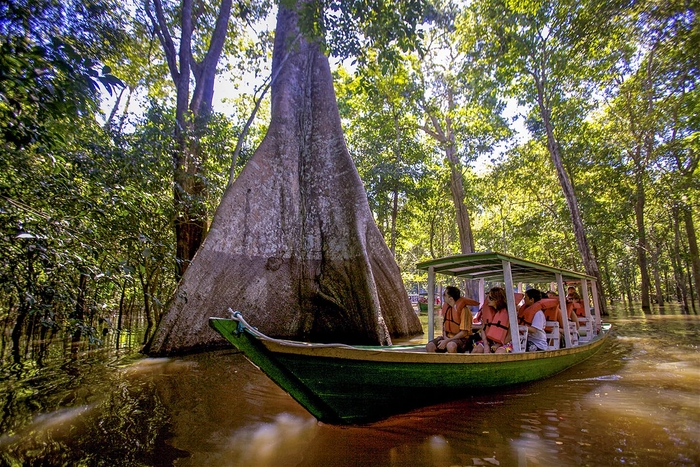 Амазонские джунгли - самый большой тропический лес в мире