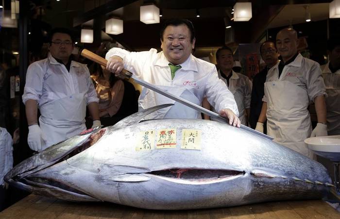 Аукционы, где продают рыбу, в Японии не редкость