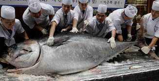 Дорого-богато: в Японии продали тунца за $1,8 млн