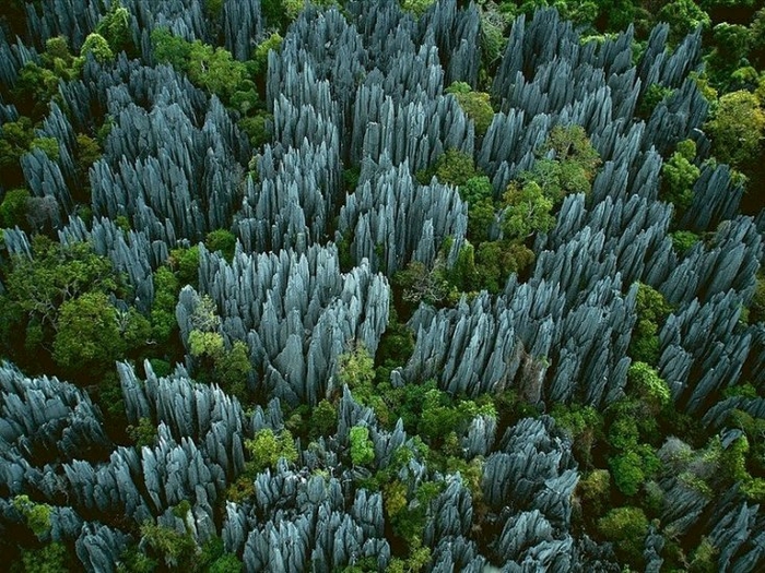 Каменный лес, Мадагаскар. А когда-то тут был океан