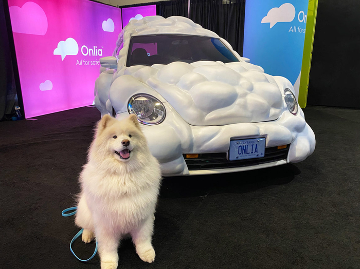 Собака The Samoyed - талисман страховой компании Onlia Cloud Car