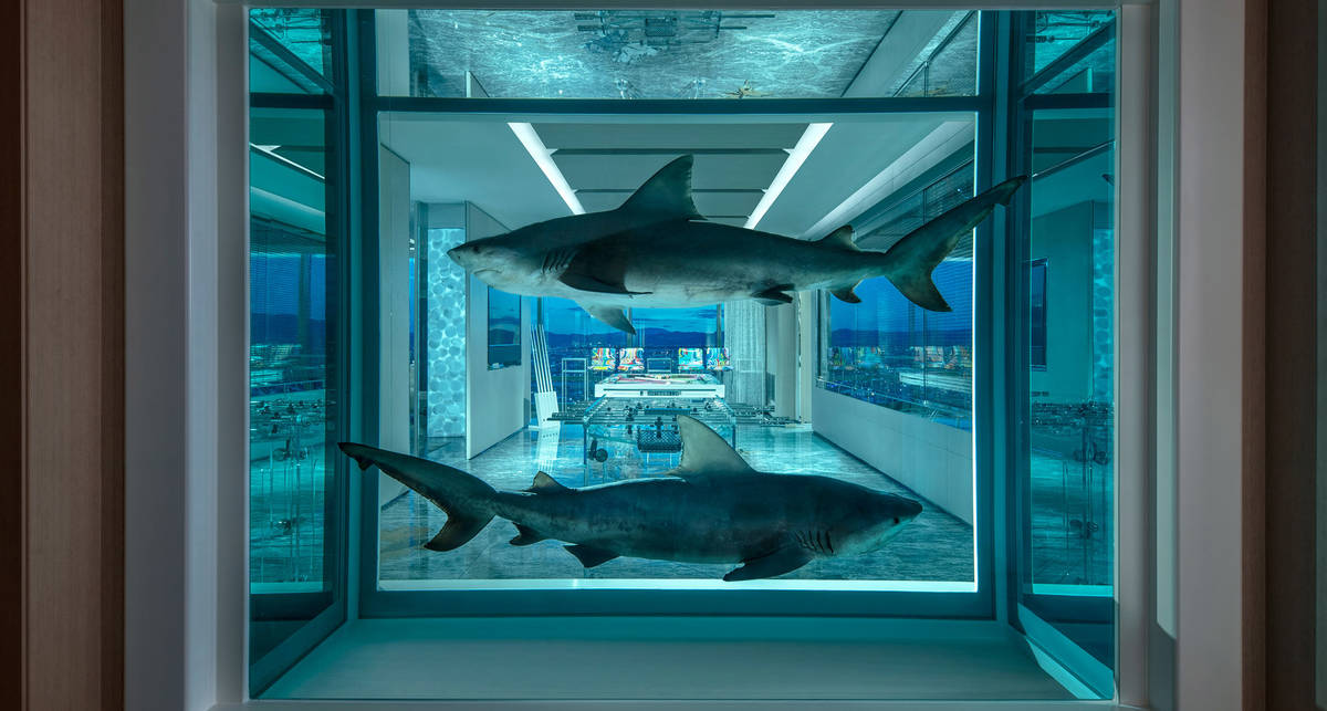 Номер с акулами и пентхаусы в столицах: 5 самых дорогих отельных сьютов мира