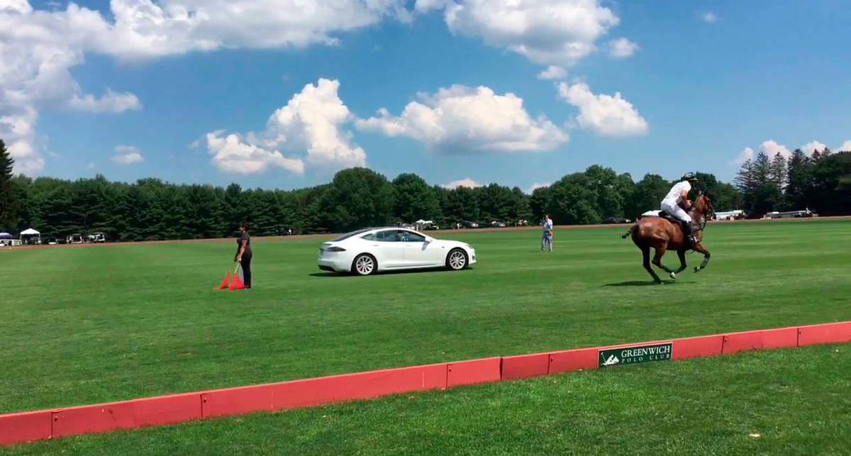 Бессмысленно, но круто: гонка Tesla Model S против лошади