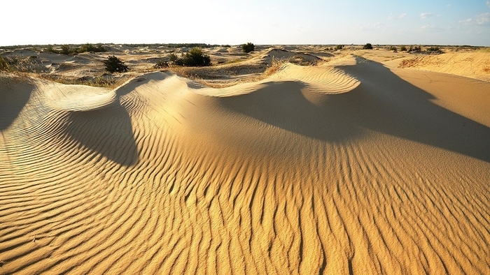 Алешковские пески - наша местная Сахара