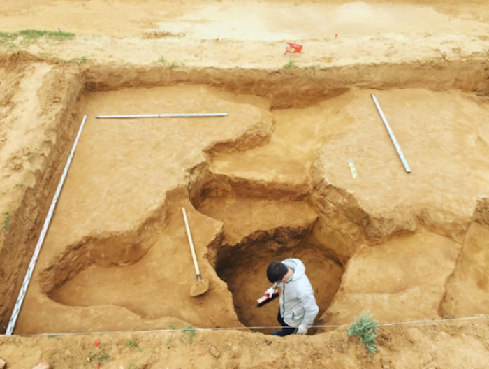 Археолог-патоэколог — тот, кто ищет и ковыряется в экскрементах