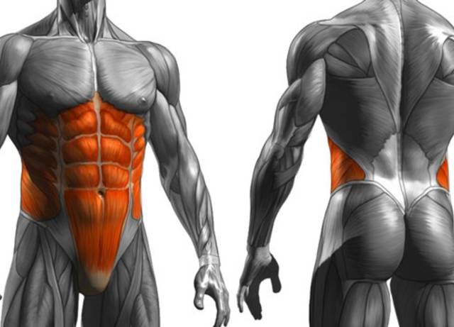 Есть ли разница между тренировкой кора и пресса