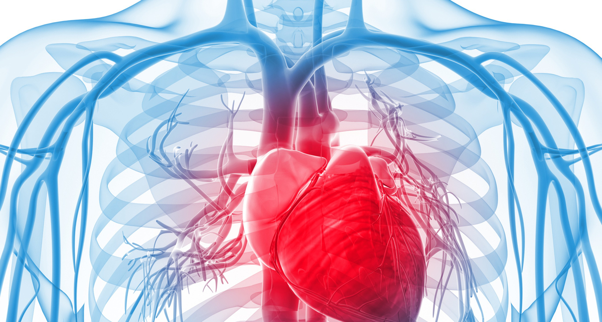 Как защитить свое сердце: 6 лучших способов