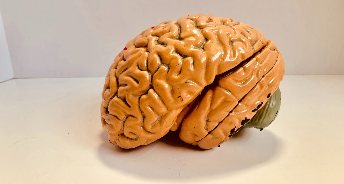 3 лайфхака для мозга, которые улучшат твою память