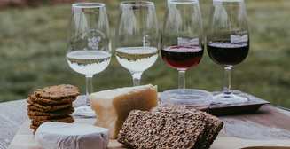 Вино для начинающих: какие бывают типы и чем отличаются