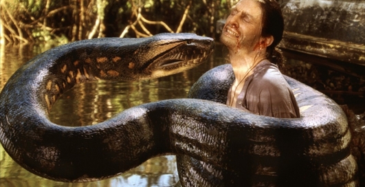 Вы звери, господа: самые жуткие животные планеты