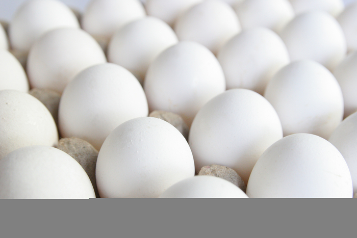 Готовим мужские блюда в День Яйца Готовим мужские блюда в День Яйца