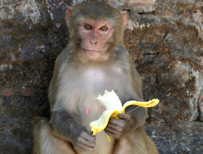 Ты не прав: ТОП-10 ежедневных ошибок человека