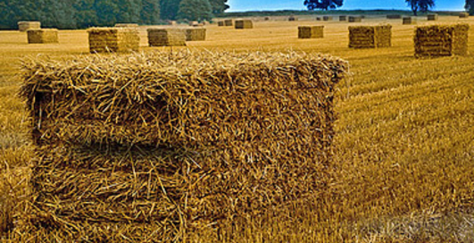 Ford сделает автомобиль из соломы