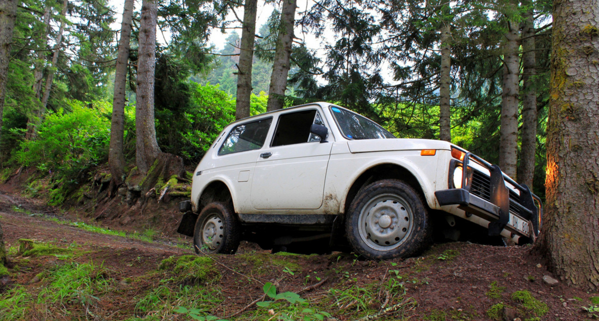 Найдены водители, мечтающие о 