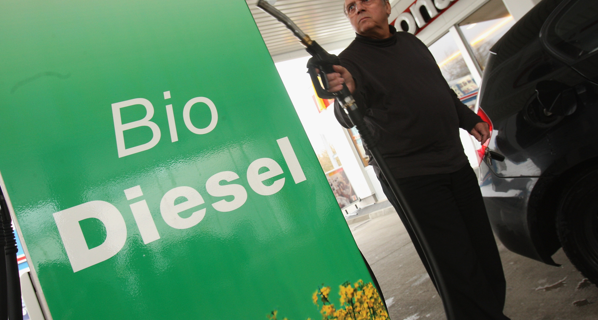 Ученые доказали вред биотоплива