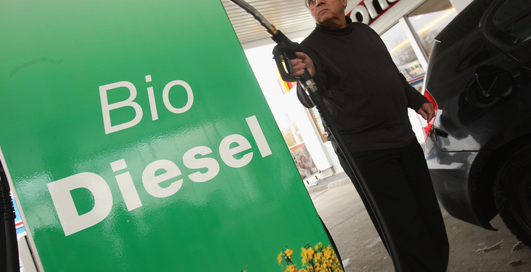 Ученые доказали вред биотоплива