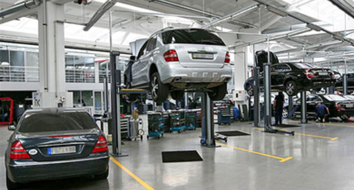 Отмена техосмотра и десерт из мышиных экскрементов