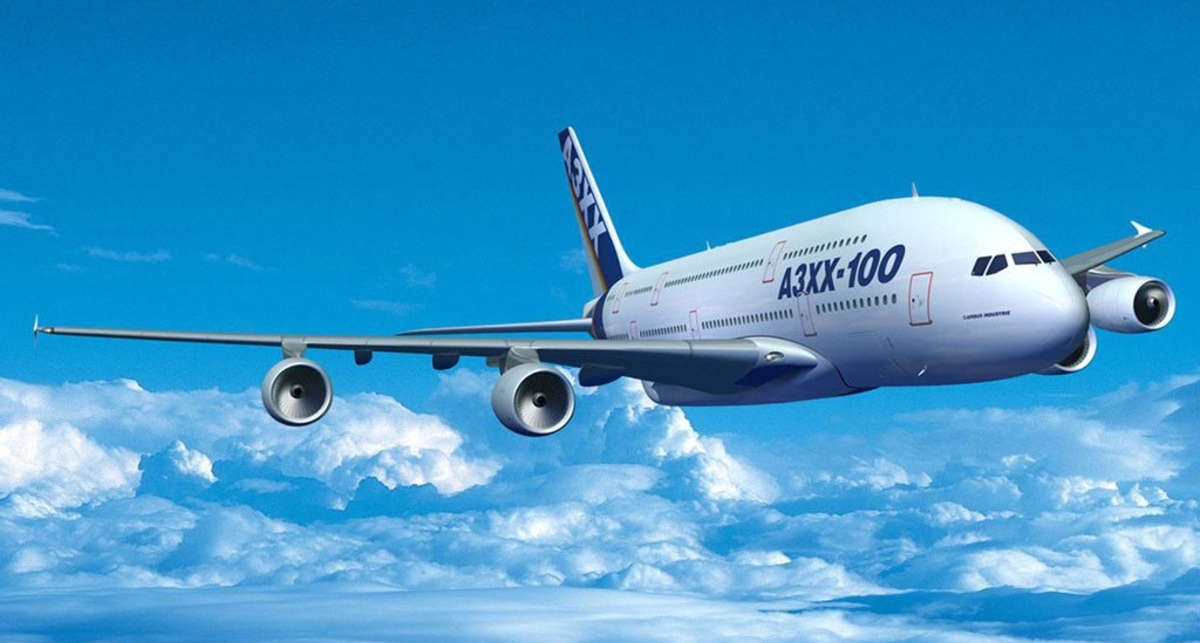 В США созданы авиалинии для животных