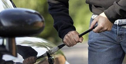 В Швеции угнали машину вместе с пассажиром