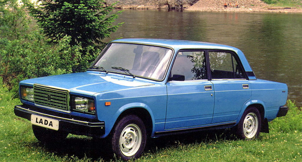 Российский дачник получил 