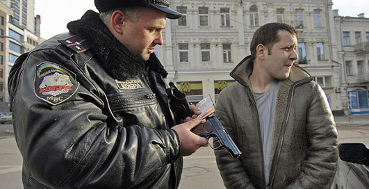 Какими будут полномочия "Кобры"?