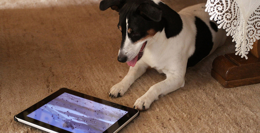 Продажи планшетов ожидаются на уровне 20 млн