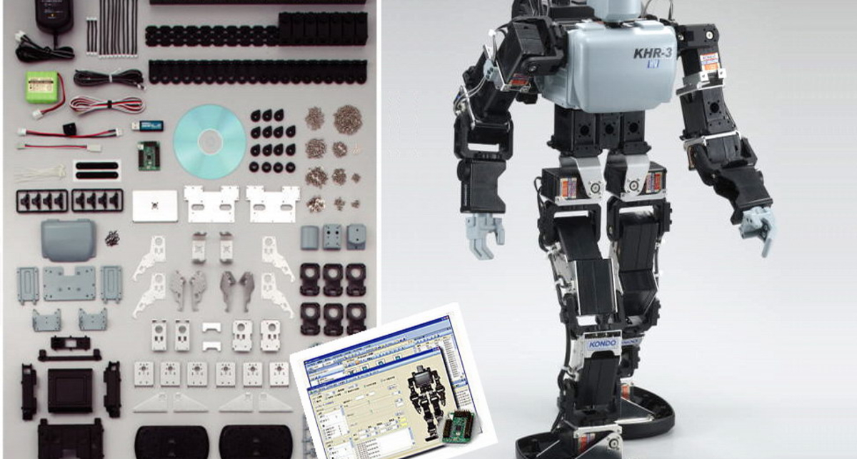 Робот стал желанным новогодним подарком (видео)