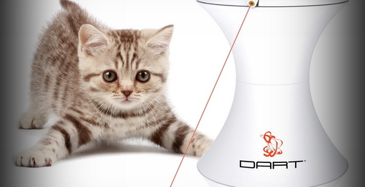 Игры на iPad для котят (видео)