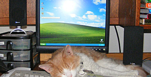 Quirky выпускает коврик для мышки и для заметок