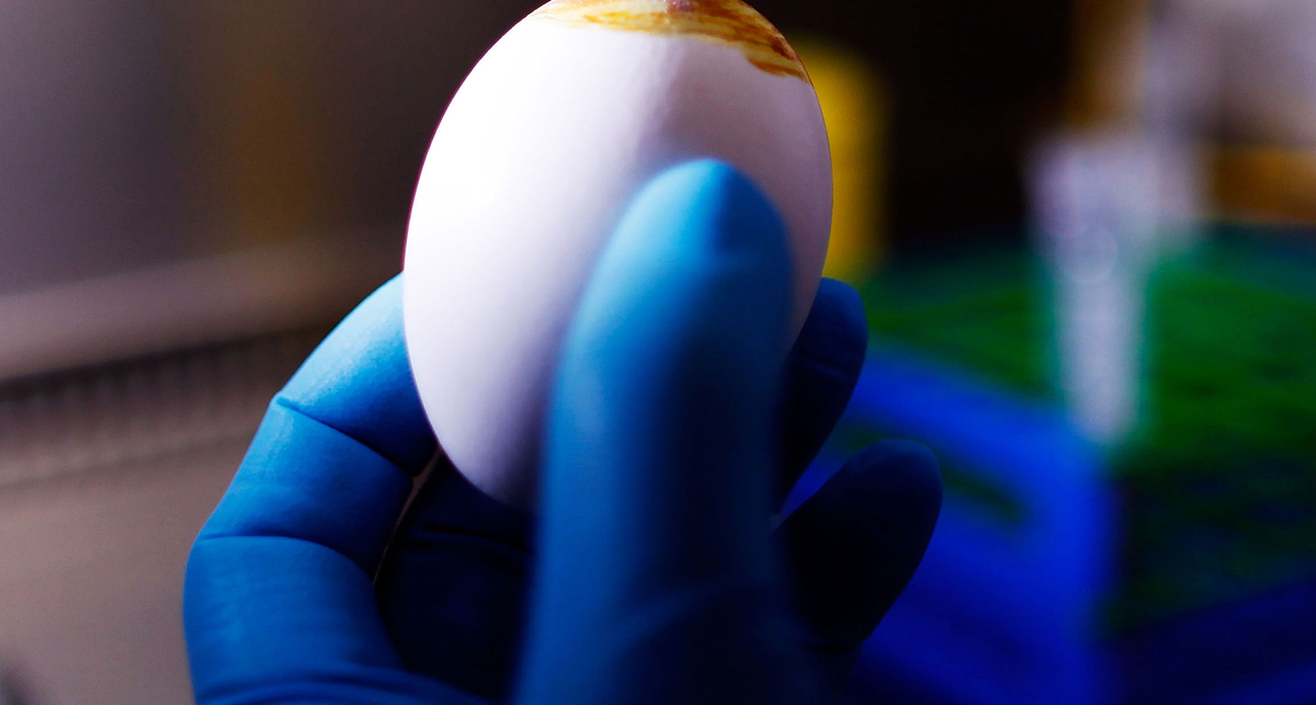 Плеер в виде яйца