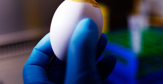 Плеер в виде яйца