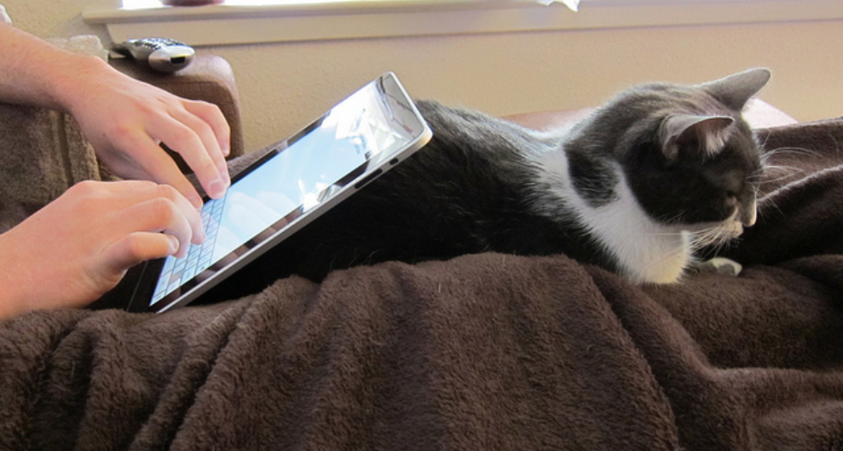 Пользователи выбирают планшеты