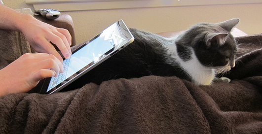 90% американцев планируют купить планшет