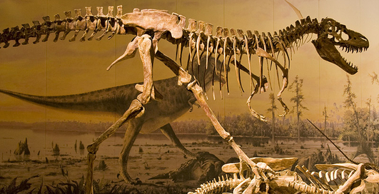 Сколько стоят кости динозавров?