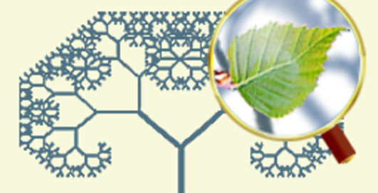 В Уанете начала работу биржа инноваций