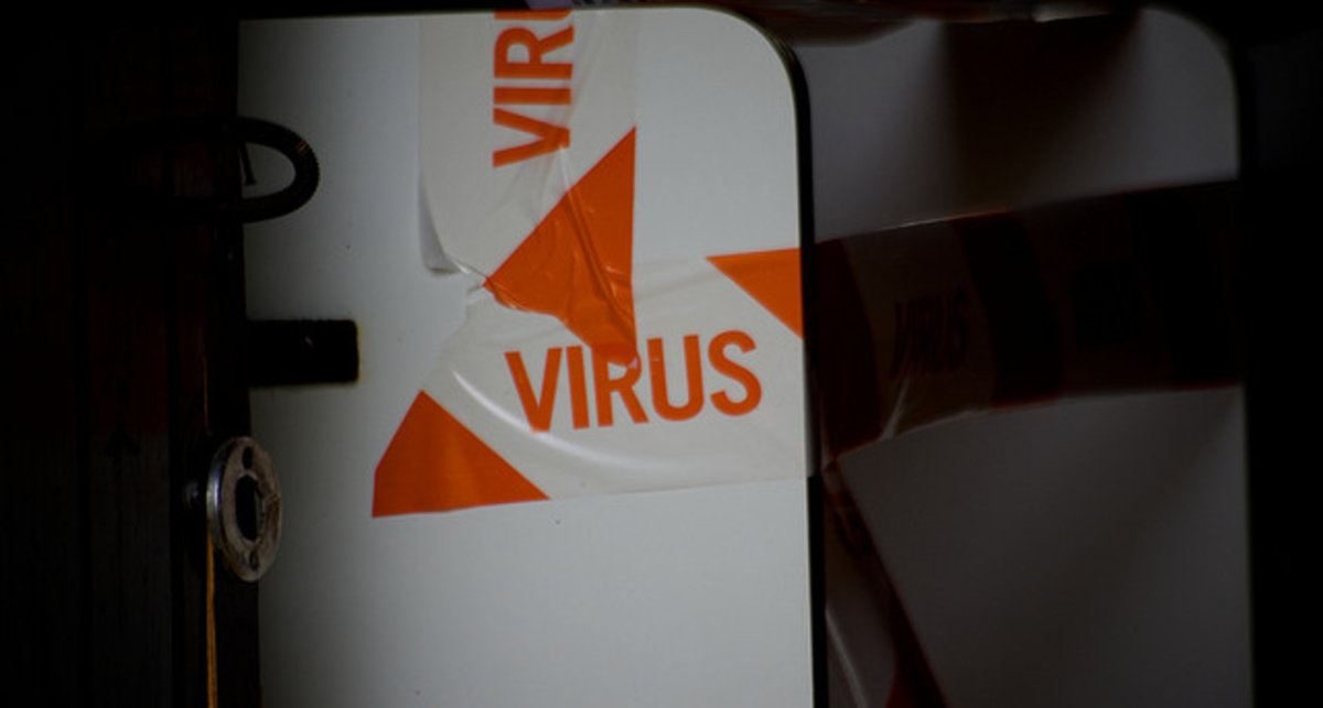 В начале 2011 года активизировались многие вирусы