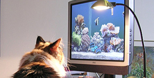 Вышел браузер Opera 10