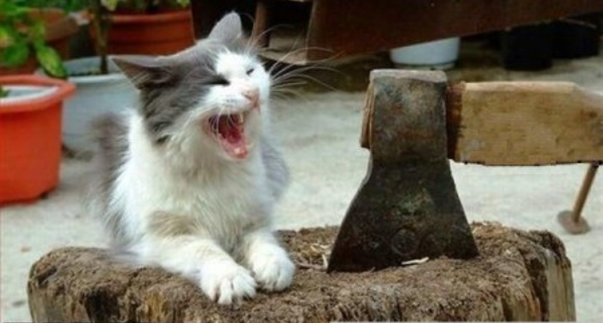 Tochka.net прикалывается