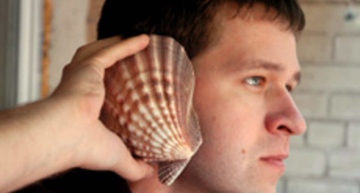 Блогер ответил за критику в адрес Януковича перед СБУ