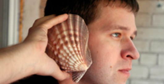 Блогер ответил Януковичу, раскритиковав власть