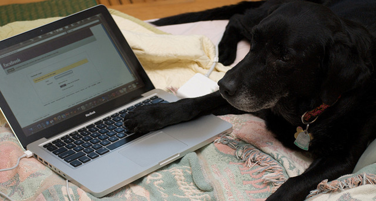 Facebook купила сервис обмена файлами drop.io