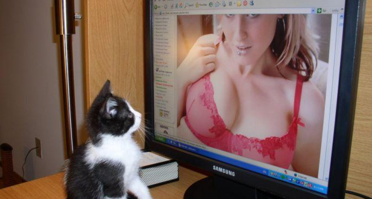 В Корее изобрели новую технологию распознавания порно